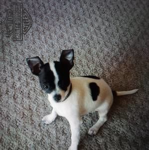 Meet your Posher, Lyna